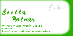 csilla molnar business card