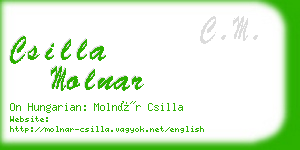 csilla molnar business card